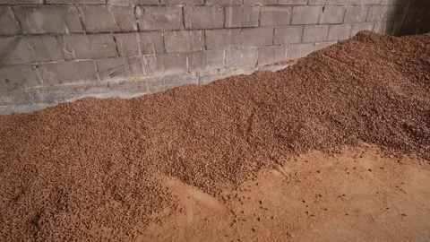 Animal feed pellets stored inside a barn for livestock nutrition and farming Stock Footage 346220655