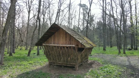 Animal feeder Stock Footage 194483592