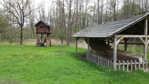 Animal feeder Stock Footage 194484058