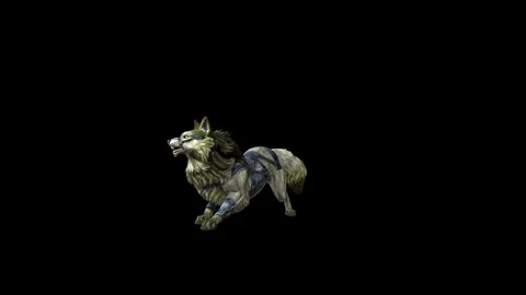 Animal Stock Footage 292472710