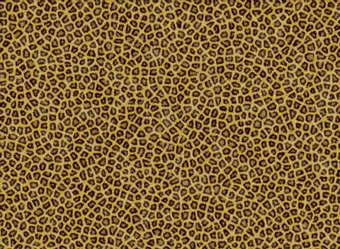 Animal Fur Texture Stock Photos