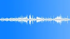 Animal Gibbon Siamang pair call01 distant stereoSound Effect
