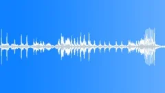 Animal Gibbon Siamang pair call02 distant stereoSound Effect