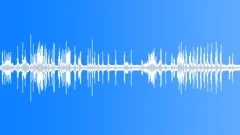 Animal Gibbon Siamang pair call03 stereoSound Effect