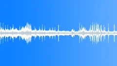 Animal Gibbon Siamang pair call04 stereoSound Effect