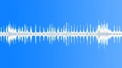 Animal Gibbon Siamang pair call05 stereoSound Effect