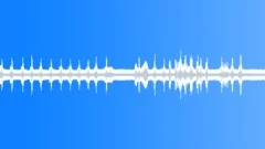 Animal Gibbon Siamang pair call06 stereoSound Effect