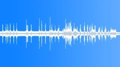 Animal Gibbon Siamang pair call07 stereoSound Effect