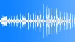 Animal Gibbon Siamang pair call08 stereoSound Effect