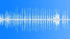 Animal Gibbon Siamang pair call09 stereoSound Effect