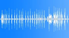 Animal Gibbon Siamang pair call10 stereoSound Effect