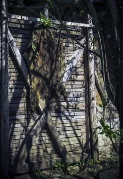 An animal hide on a wall Stock Photos