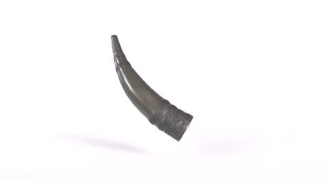 Animal Horn rotating in loop on white background Stock-Footage 271006685