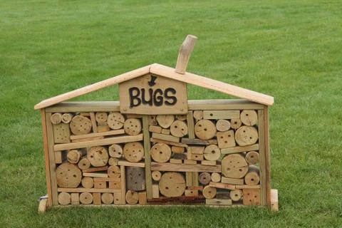 Animal House. Stock Photos