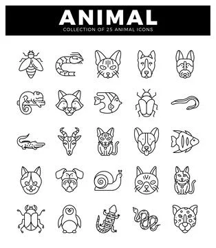 Animal icons in a white grid pattern. showcasing various creatures with a c.. Stock Illustration