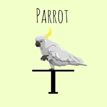 Animal  イラスト素材