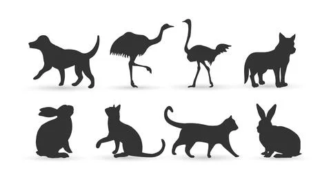 Animal Stock Illustration