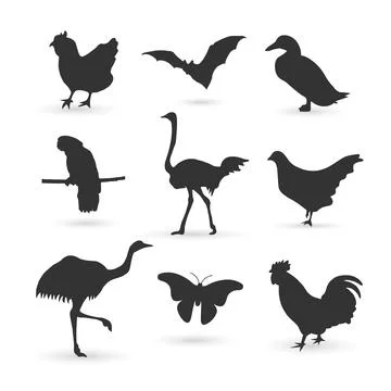 Animal Stock Illustration