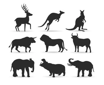 Animal Stock Illustration
