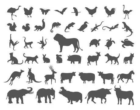 Animal Stock Illustration
