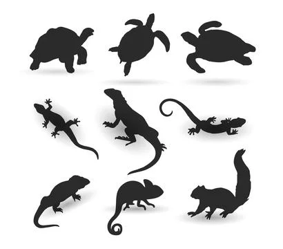 Animal Stock Illustration