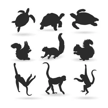 Animal Stock Illustration