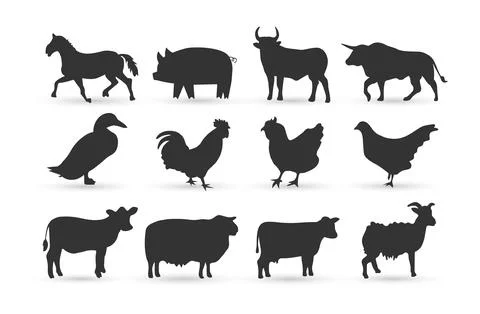 Animal Stock Illustration