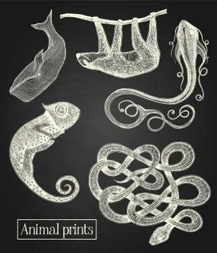 Animal illustrations 스톡 일러스트