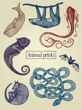 Animal illustrations Stock Illustration