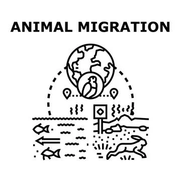 Animal migration ecosystem movement mapping routes concept Stock Illustration