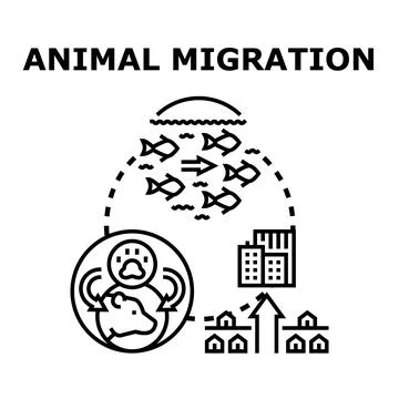 Animal migration process moving species and people illustration Stock Illustration