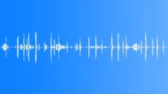 otter audio recording otter audio recording