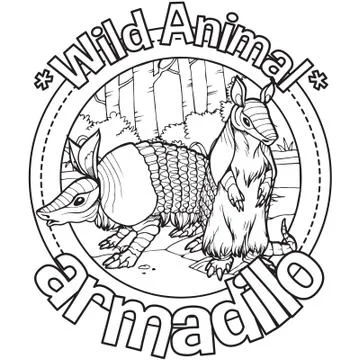 Animal Outline Vector Armadillo Stock Illustration