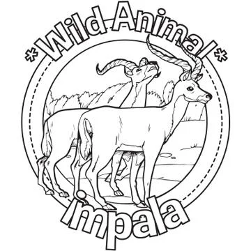 Animal Outline Vector Impala Stock Illustration