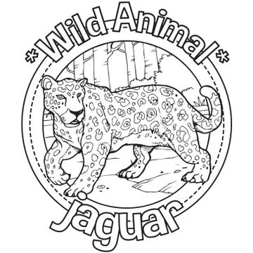 Animal Outline Vector Jaguar Stock Illustration