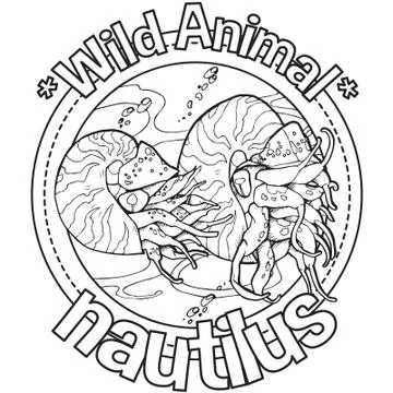 Animal Outline Vector Nautilus Stock Illustration
