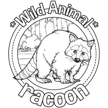 Animal Outline Vector Racoon Stock Illustration