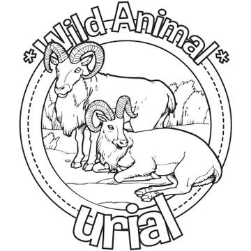 Animal Outline Vector Urial Stock Illustration