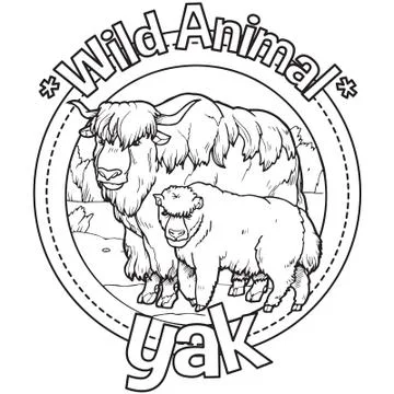 Animal Outline Vector Yak Stock Illustration