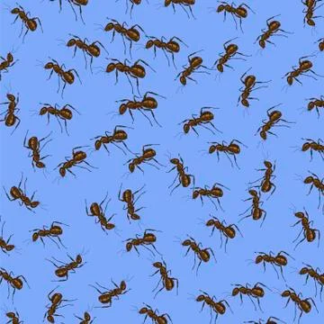 Animal Pattern. Ant Isolated Illustrazione stock