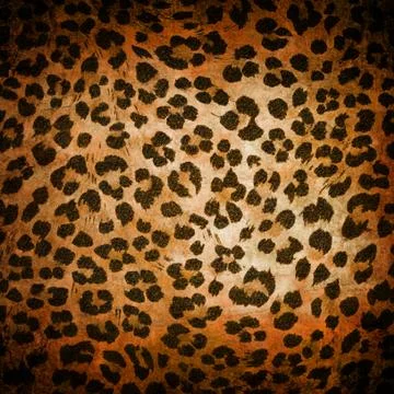 Animal pattern Stock Photos