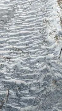 Animal paw prints making a pattern in the sand at a beach. Fotos de archivo