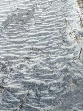 Animal paw prints making a pattern in the sand at a beach. Fotos de archivo