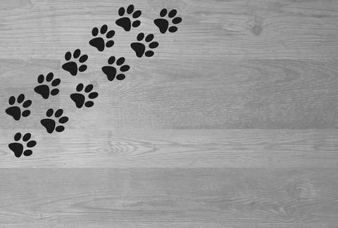 Animal paw prints on a wooden texture background. Stock Photos