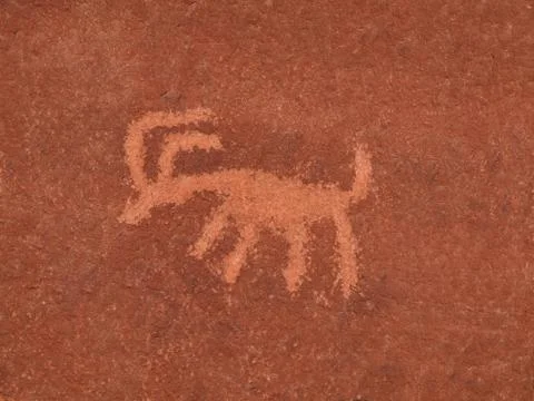 Animal petroglyph Stock Photos