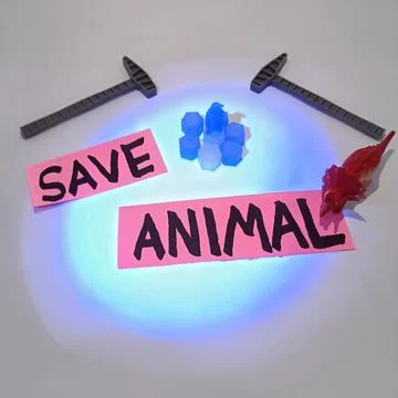 Animal Stock Photos