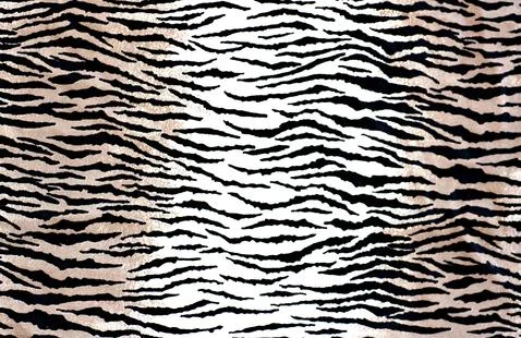Animal Print Background Stock Illustration