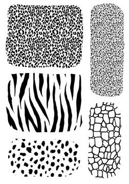 Animal print large set of frames backgrounds textures Stock Illustration