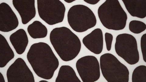 Animal print seamless pattern design with irregular black spots Stock Footage 152775494