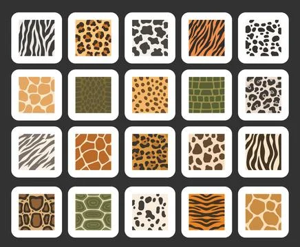 Animal print set featuring zebra leopard 스톡 일러스트